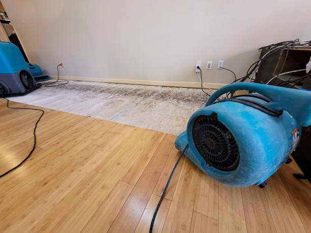 Professional Ceiling Water Damage Repair technician working in Tecumseh, MI