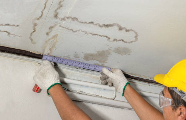Affordable Ceiling Water Damage Repair solutions in Tecumseh, MI